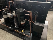 Emerson Copeland Hermetic Air Cooled Condensing Unit หน่วยทำความเย็นห้องเย็น