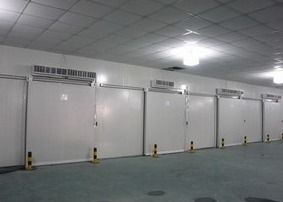 เดินสแตนเลส 304 ในห้องเย็นห้องเย็นปลาคัลเลอร์บอนด์สีขาว